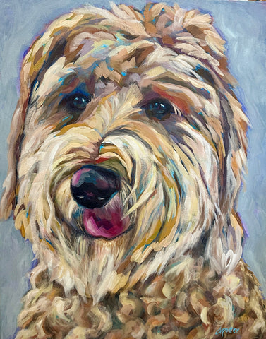 “Goldendoodle”