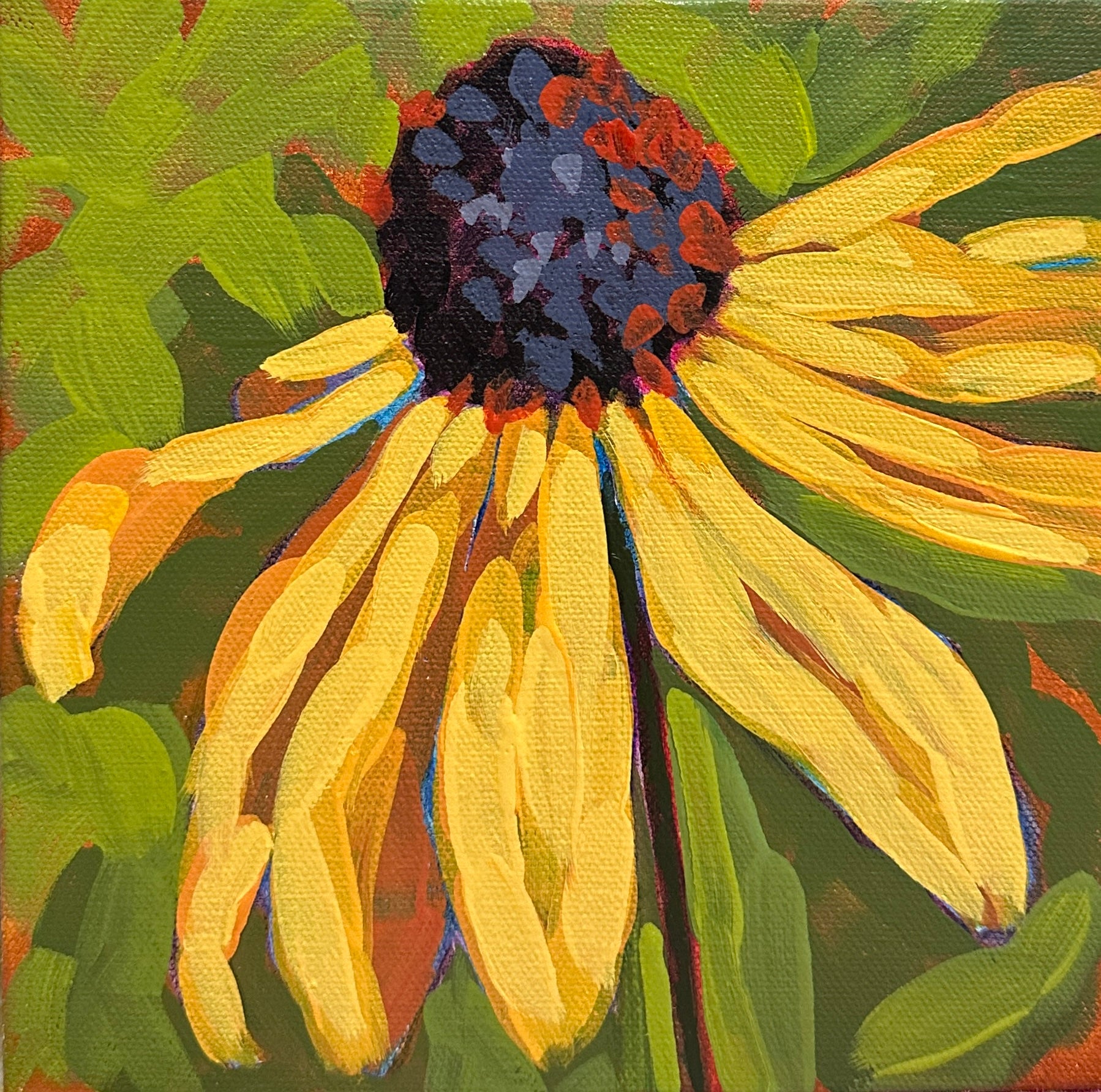 “Black Eyed Susan”
